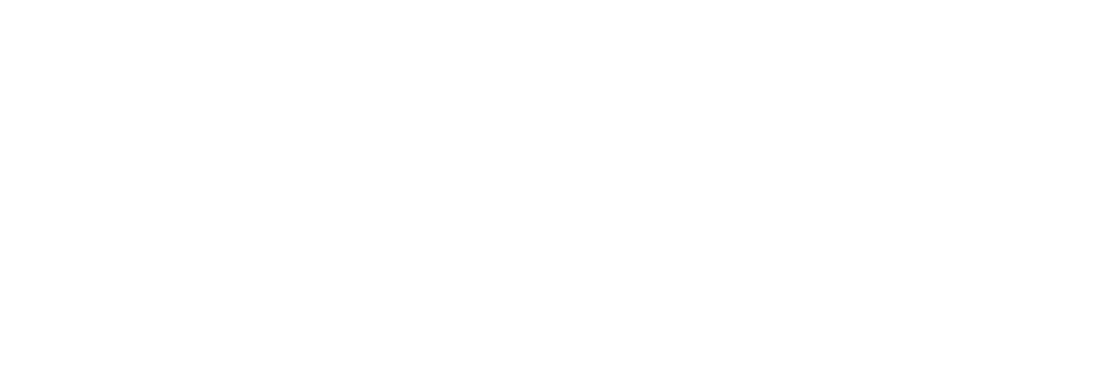 logo skoela erp